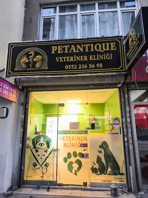 PetAntique Veteriner Kliniği