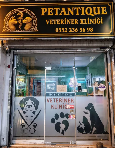 PetAntique Veteriner Kliniği foto 2