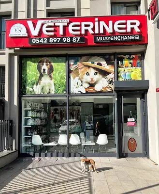 ZEYTİNBURNU LOCA VETERİNER KLİNİĞİ