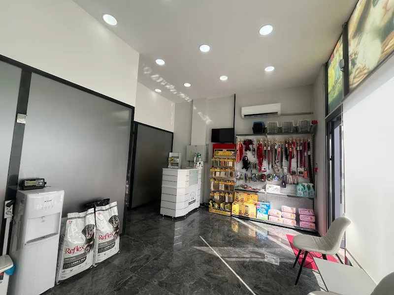 ZEYTİNBURNU LOCA VETERİNER KLİNİĞİ foto 2