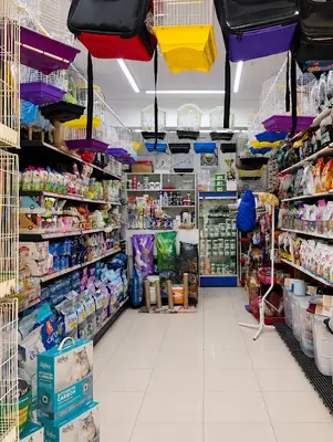 Bigalı Pigeon Petshop Zeytinburnu
