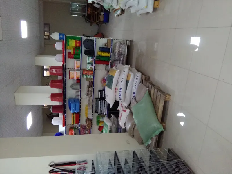 Soğukpınar Petshop foto 2