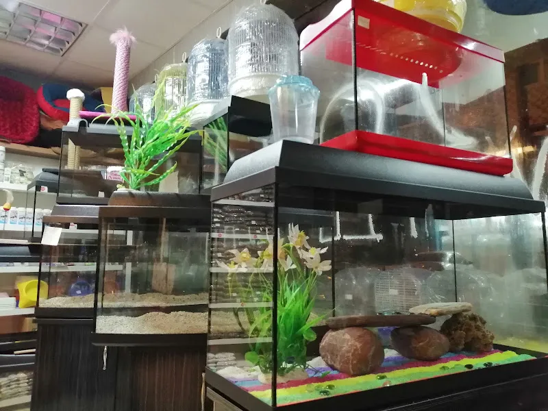 Cuppo petshop ve ürünleri foto 2