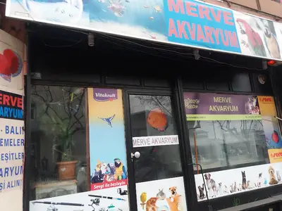 Merve Akvaryum