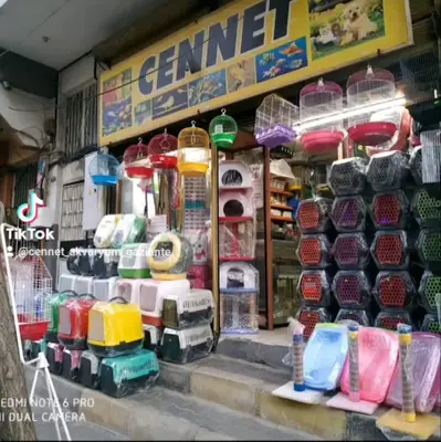 Cennet akvaryum pet shop
