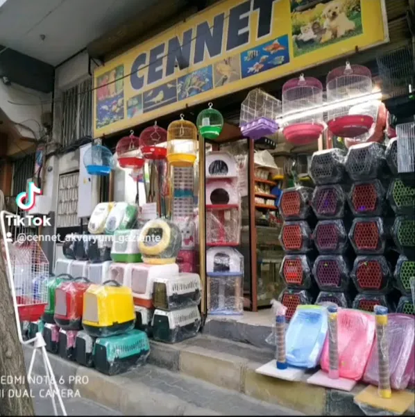 Cennet akvaryum pet shop foto 1