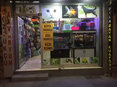 Damla Akvaryum