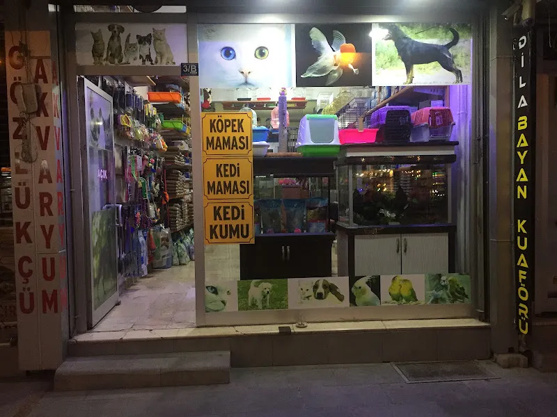 Damla Akvaryum foto 1