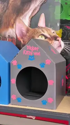 Petibol Petshop