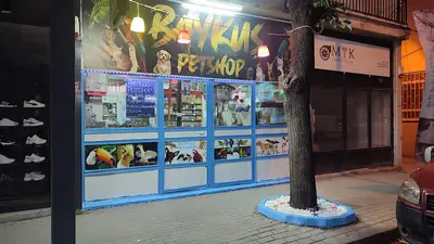 Baykuş petshop