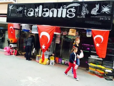 Atlantis Pet Shop