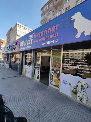 BULVAR VETERİNER KLİNİĞİ (Zonguldak/KDZ.EREĞLİ)