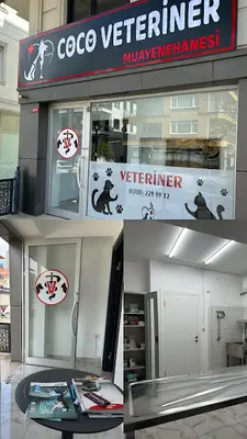 Coco Veteriner Kliniği Maltepe