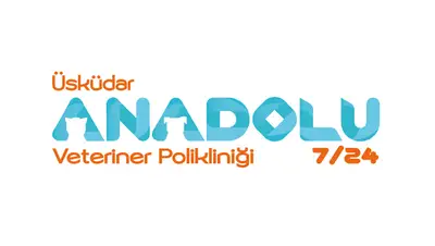 Anadolu Veteriner Polikliniği ÜSKÜDAR | 24 Saat Nöbetçi Veteriner