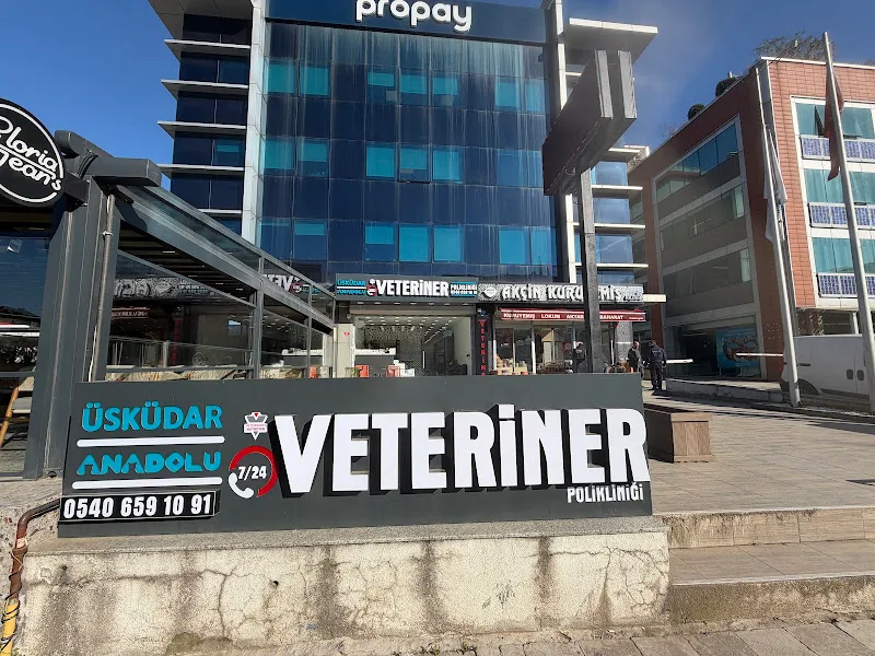 Anadolu Veteriner Polikliniği ÜSKÜDAR | 24 Saat Nöbetçi Veteriner foto 2