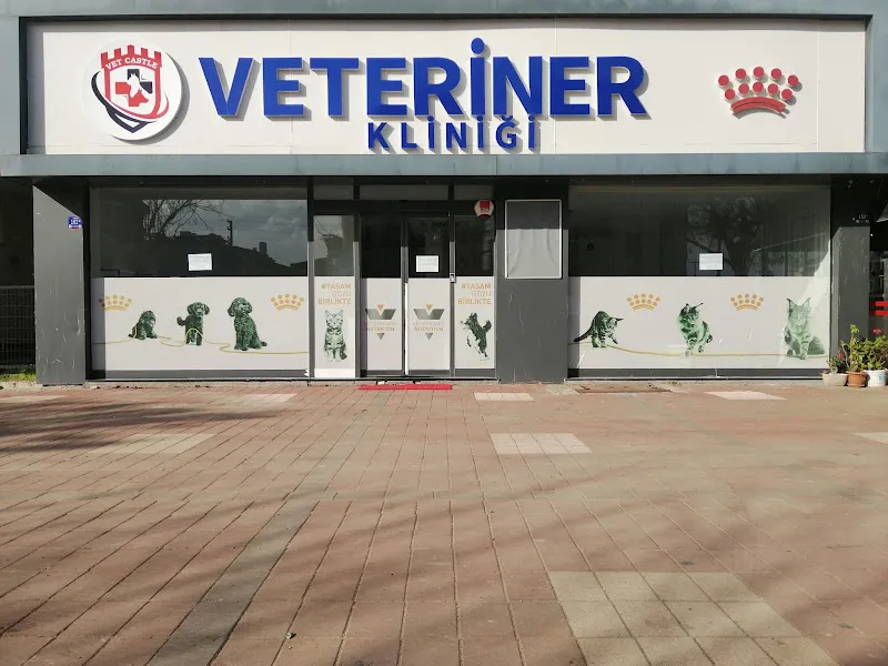 Vet Castle Veteriner Kliniği foto 1