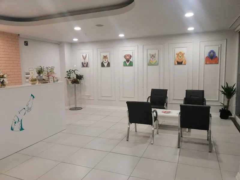 Vet Castle Veteriner Kliniği foto 2