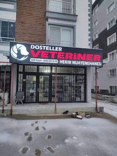 Dosteller Veteriner Kliniği foto 2