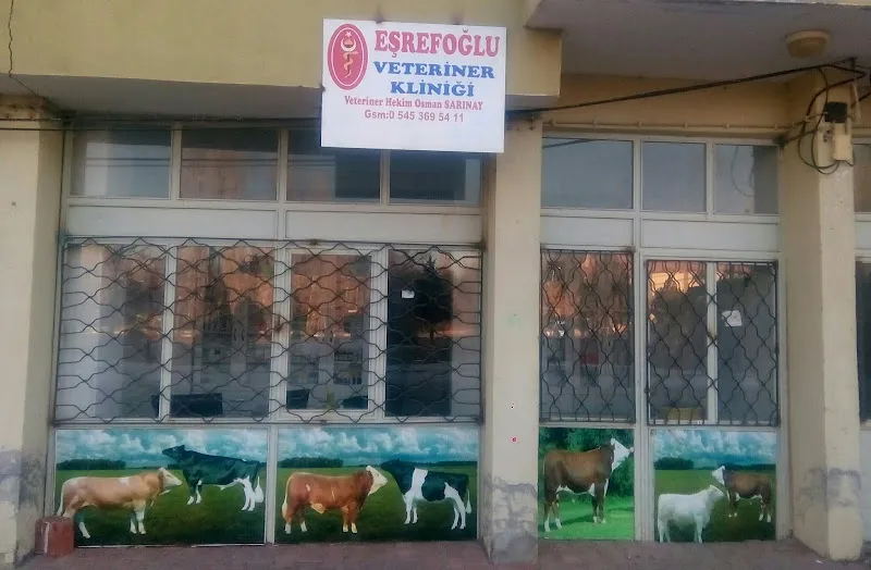 EŞREFOĞLU VETERİNER KLİNİĞİ foto 2