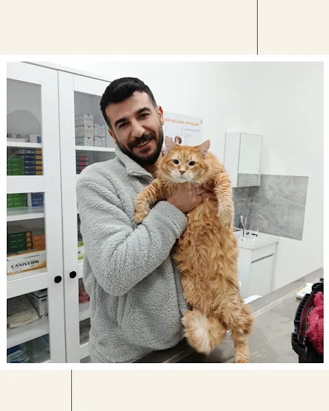 Altuğ Veteriner Muayenehanesi foto 2