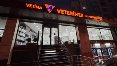 Vetina Veteriner Kliniği | 7/24 Açık