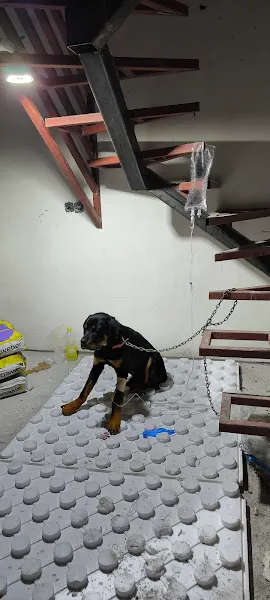 Çubuk Abad Veteriner Kliniği foto 2