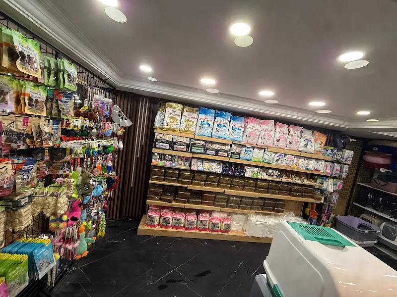 X Petshop foto 2