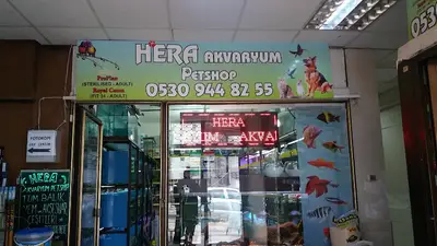 HİRA Akvaryum Petshop