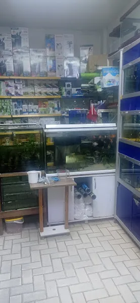 HİRA Akvaryum Petshop foto 2