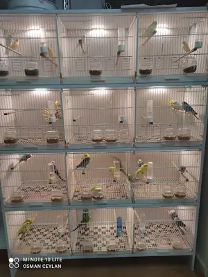 PATİ DÜNYASI PETSHOP