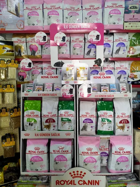 ATA PETSHOP 1 foto 2