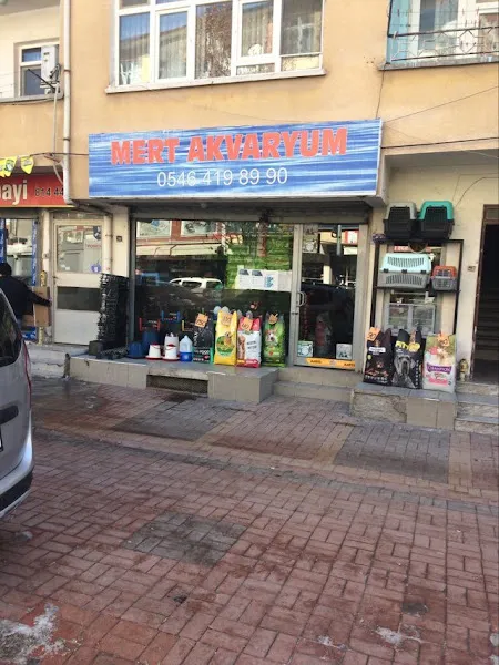 MERT AKVARYUM foto 2