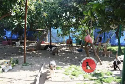 ARGA Rescue Center