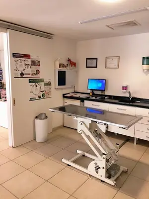 PetX Clinic (Kasaba Veteriner)