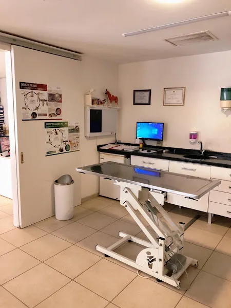 PetX Clinic (Kasaba Veteriner) foto 1