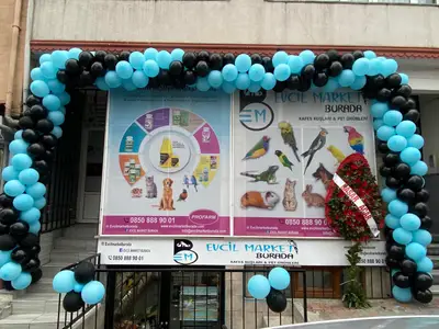Evcil Market Burada (Batuhan&Barış Çolak)