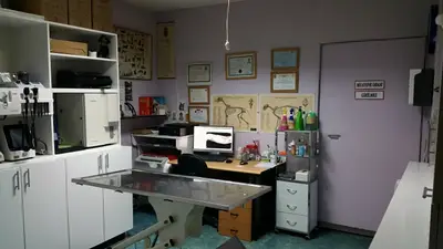 Pet Dünyası Veteriner Kliniği
