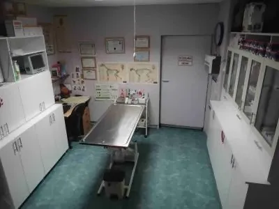 Pet Dünyası Veteriner Kliniği foto 2