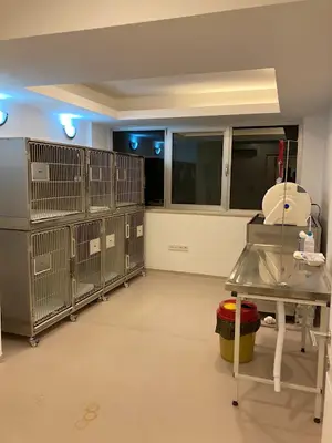 Bodrum Yücelen Hayvan Hastanesi