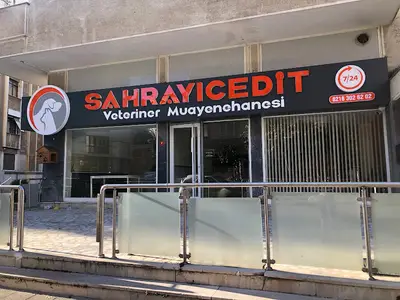 Sahrayıcedit Veteriner Kliniği 7/24 Acil Müdahale