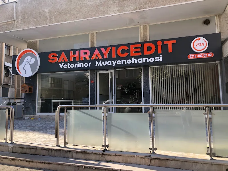 Sahrayıcedit Veteriner Kliniği 7/24 Acil Müdahale foto 1