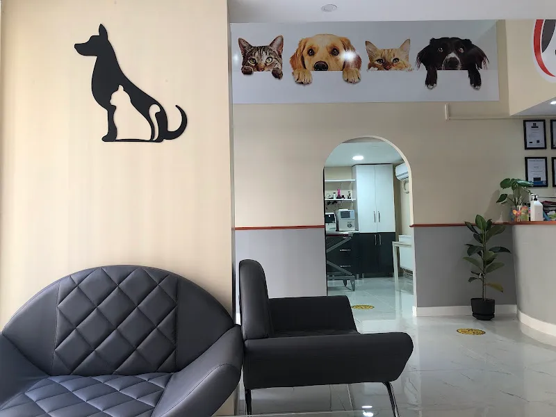 Sahrayıcedit Veteriner Kliniği 7/24 Acil Müdahale foto 2