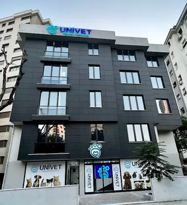 Petcode İstanbul Hayvan Hastanesi