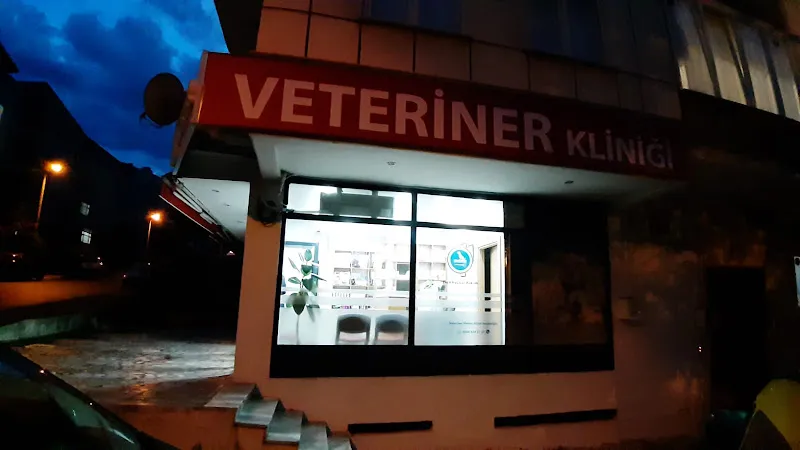 Huzur veteriner kliniği foto 2