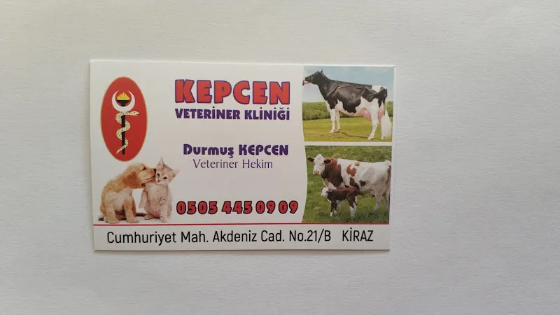 KEPCEN VETERİNER KLİNİĞİ foto 2