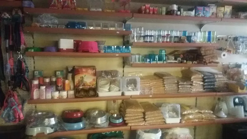 Mini Pet Shop foto 2