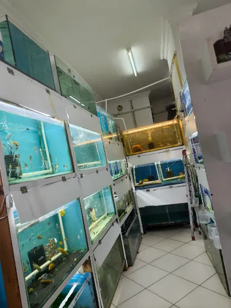DERİN PETSHOP foto 2