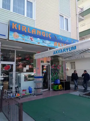 Kırlangıç Akvaryum