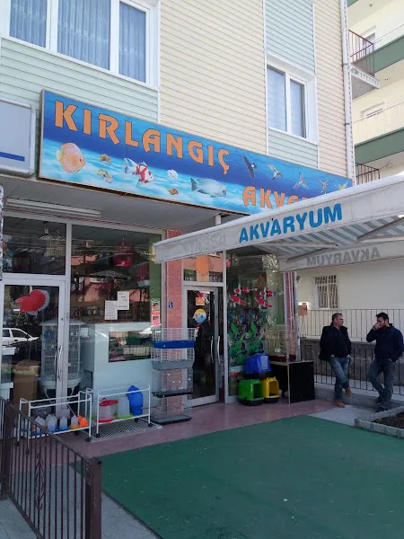 Kırlangıç Akvaryum foto 1