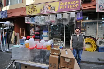 Amazon Kuş Akvaryum Galerisi